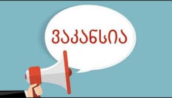 გესაჭიროება კონსულტანტი გოგონა